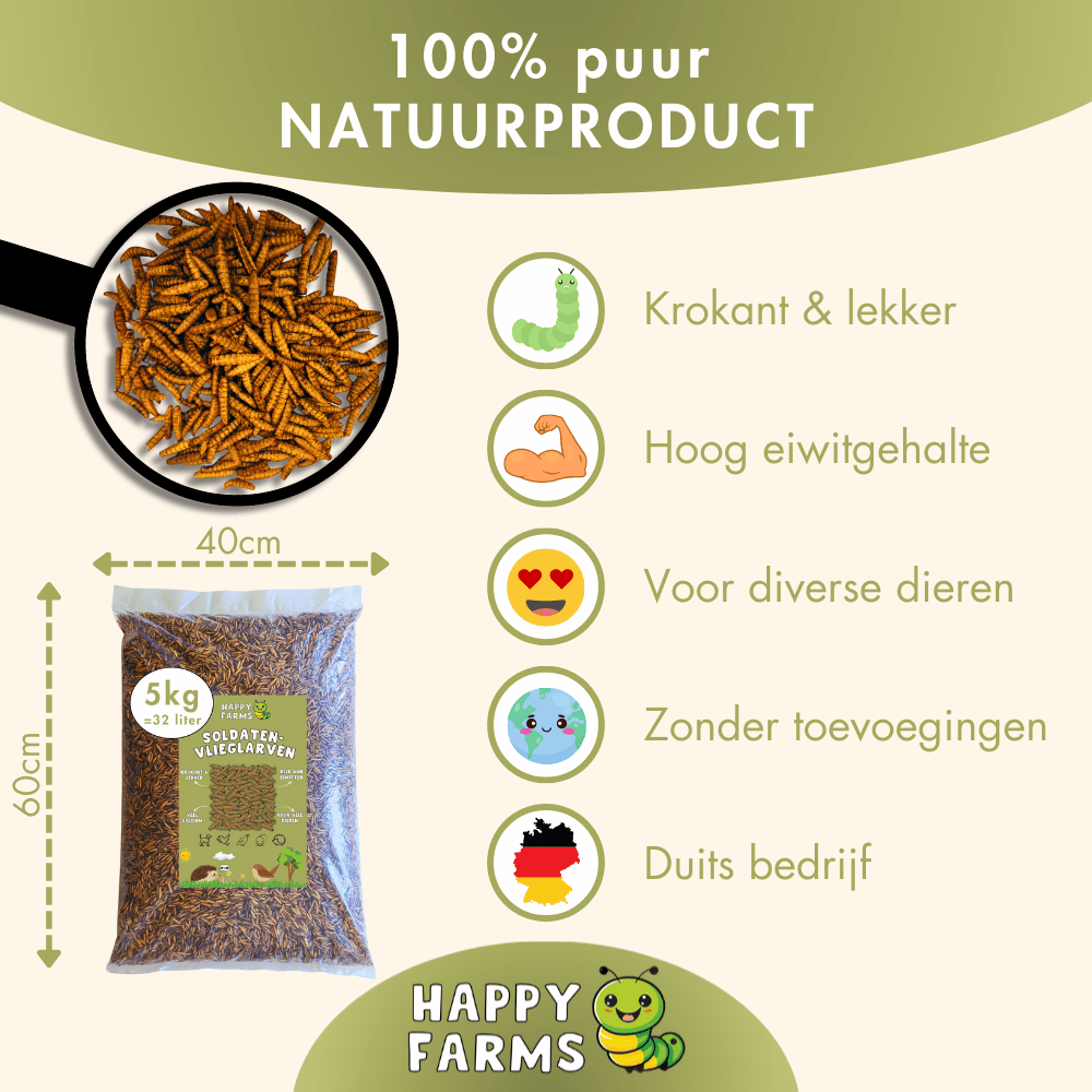 Gedroogde soldatenvlieglarven