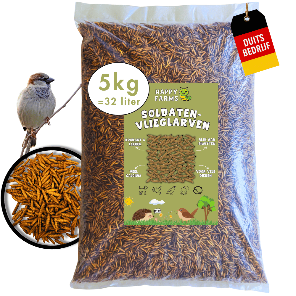 Gedroogde soldatenvliegenlarven kopen – natuurlijk voer voor vogels & egels