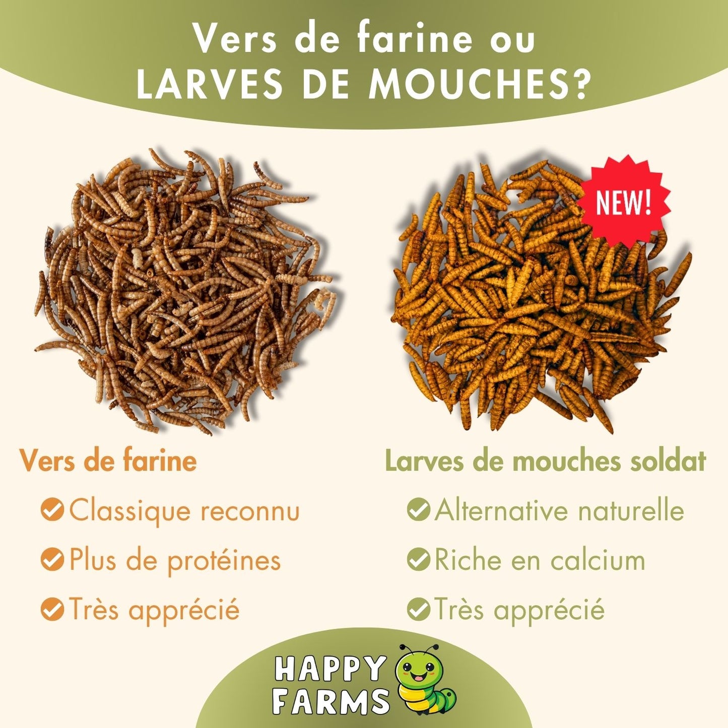Larves de mouches soldats séchées – nourriture durable pour oiseaux & reptiles