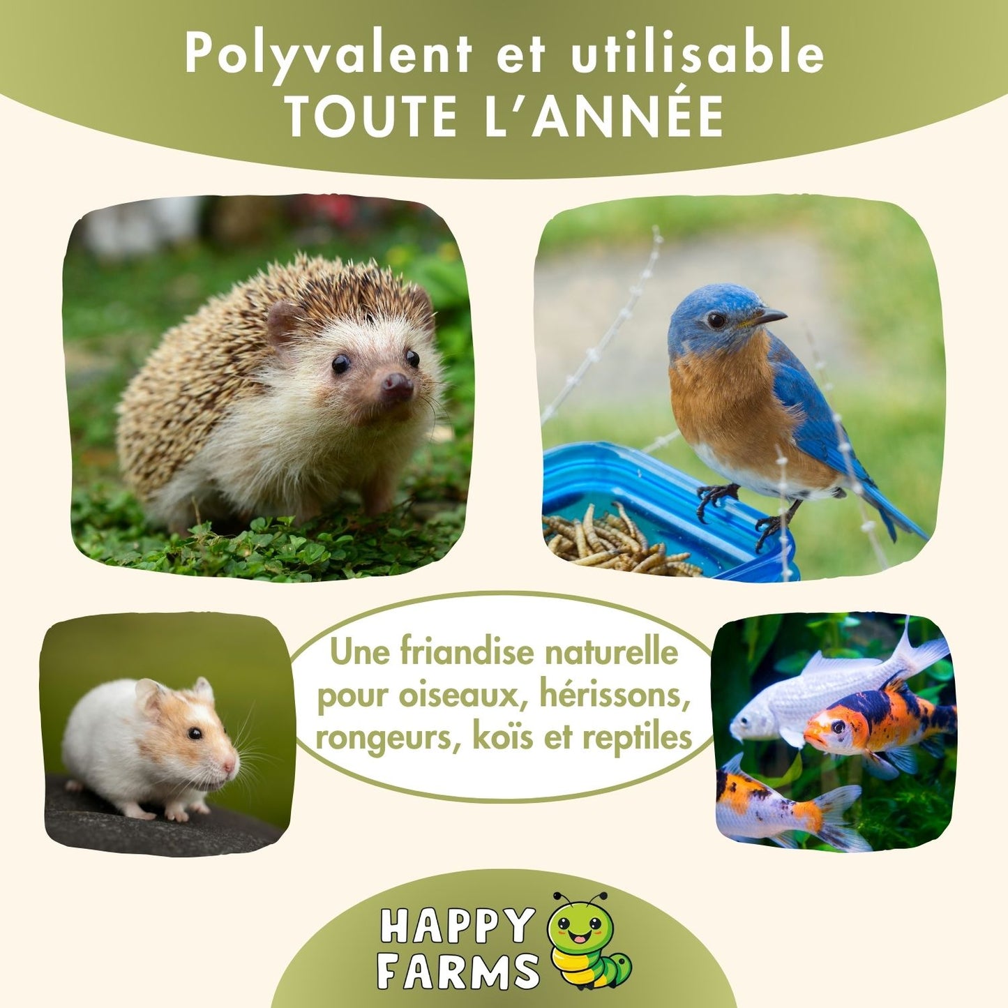 Larves BSF séchées Happy Farms – longue conservation & sans additifs