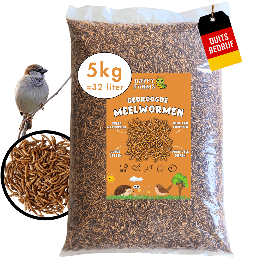 Gedroogde meelwormen kopen – natuurlijk voer voor vogels & egels