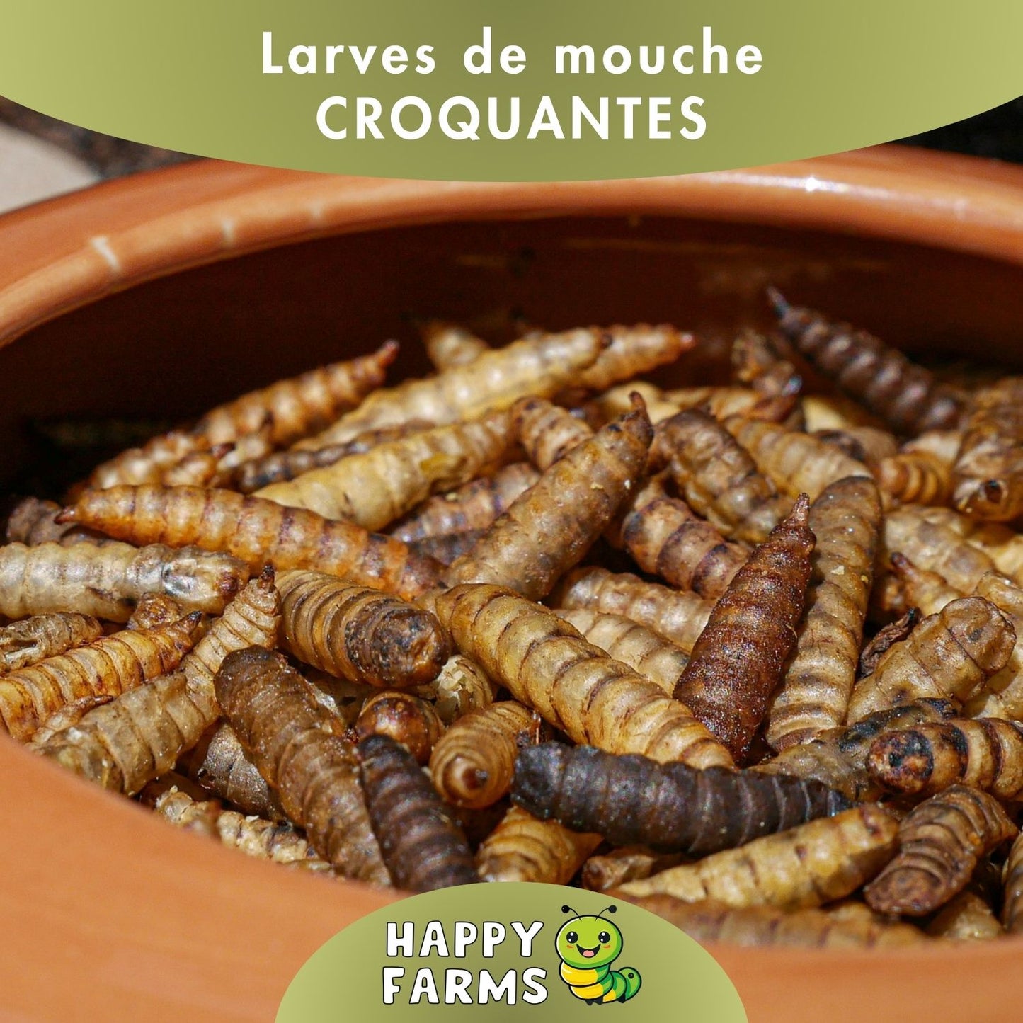 Nourriture aux insectes – larves de mouches soldats séchées pour animaux