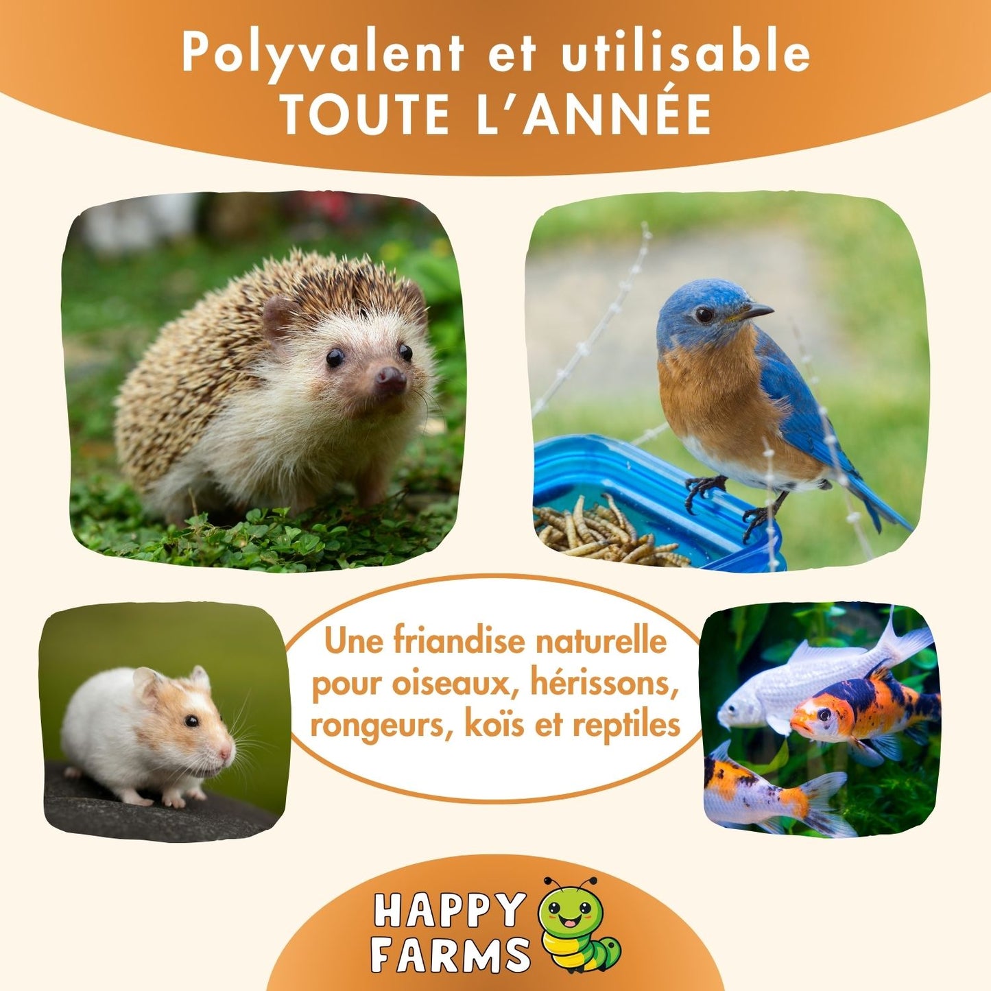 Sachet 1 kg de vers de farine séchés – alimentation naturelle pour oiseaux sauvages, poules & reptiles