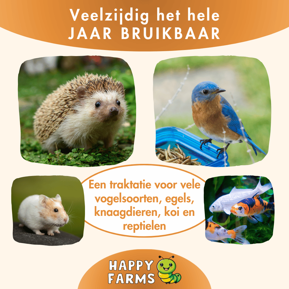 Natuurlijk vogelvoer – meelwormen gedroogd van Happy Farms