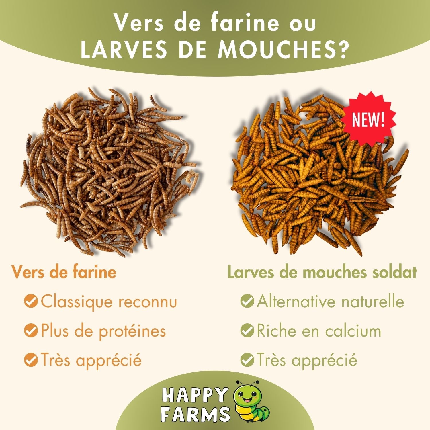 Larves de mouches soldats séchées – nourriture durable pour oiseaux & reptiles