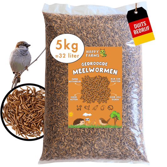 Gedroogde meelwormen | Het Pluimpje Zandvliet Gedroogde meelwormen | Het Pluimpje Zandvliet