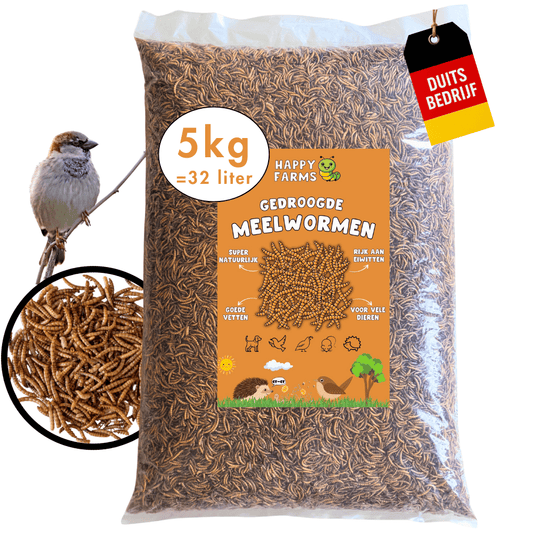 Gedroogde meelwormen kopen – natuurlijk voer voor vogels & egels 