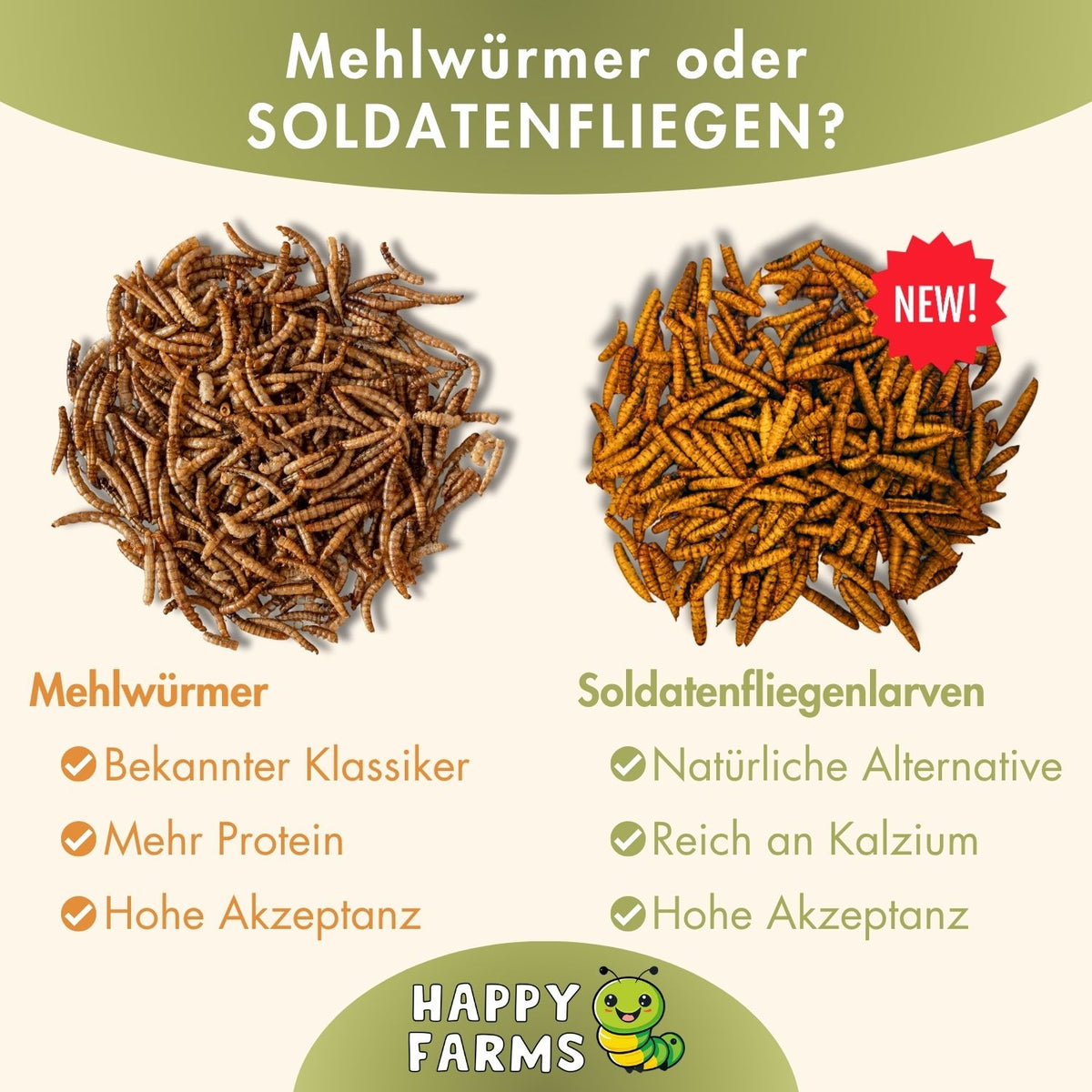 Mehlwürmer oder Soldatenfliegenlarven?