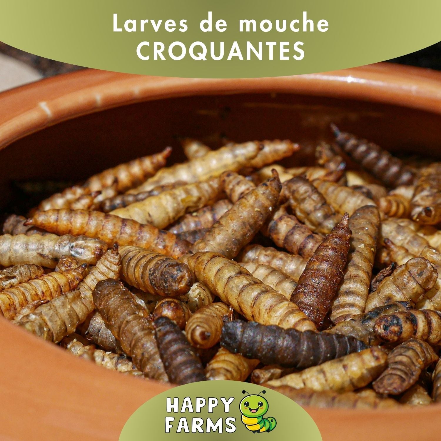 Nourriture aux insectes – larves de mouches soldats séchées pour animaux
