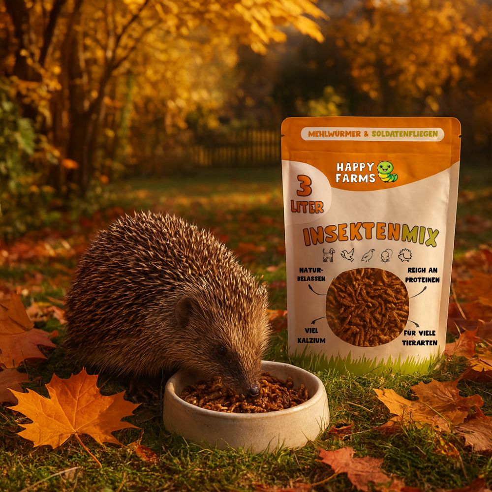 InsektenMix im transparenten Beutel – hochwertige Insektenlarven für gesunde Tierernährung